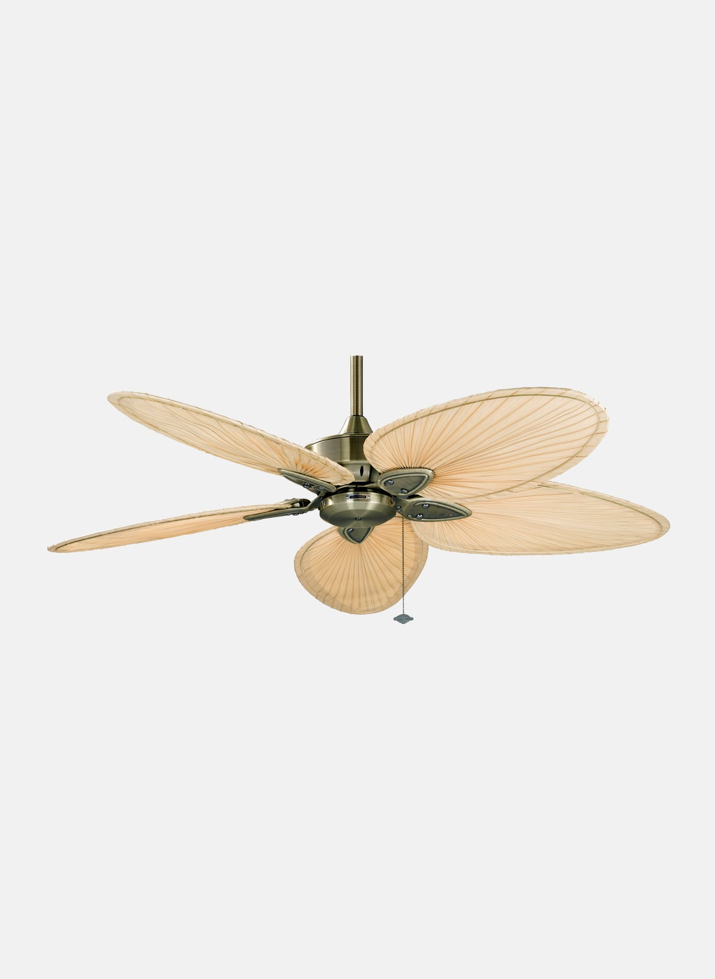 Windpointe 52" Fan